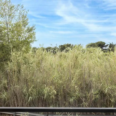 Sud Porte D'espagne ペルピニャン