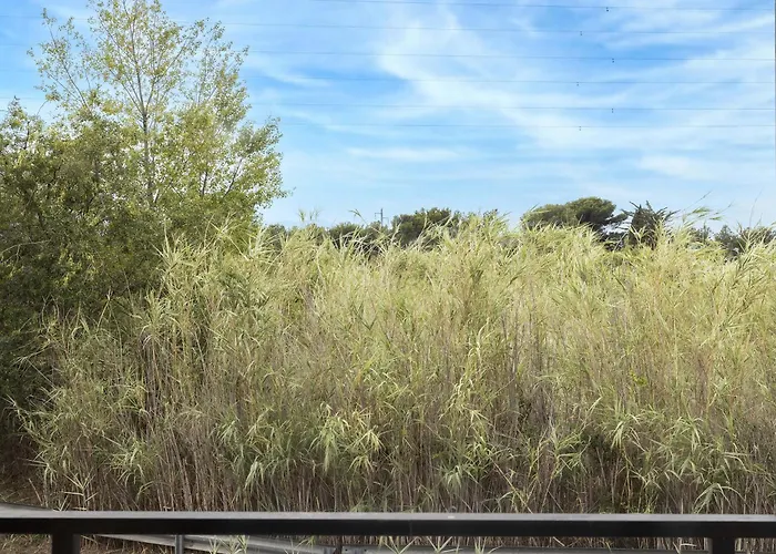 Sud Porte D'espagne Perpignan